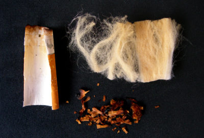 Bestandteile einer Zigarettenkippe: Filter aus Zelluloseacetat, Papier, Tabakreste | Components of a cigarette butt: filter made of cellulose acetate, paper, tobacco residues