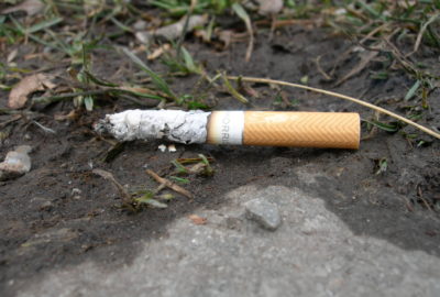 Weggeworfene Zigarettenkippe | Littered cigarette butt