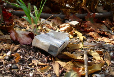 Weggeworfene Zigarettenschachtel | Littered cigarette package