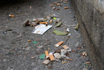 Zigarettenkippen auf der Straße | Cigarette butts on the street