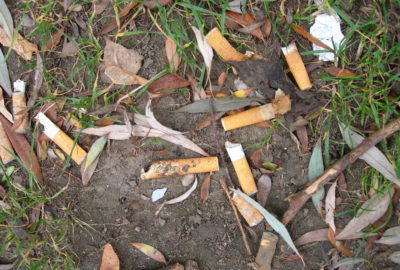 Zigarettenkippen auf nassem Boden | Cigarette butts on wet ground