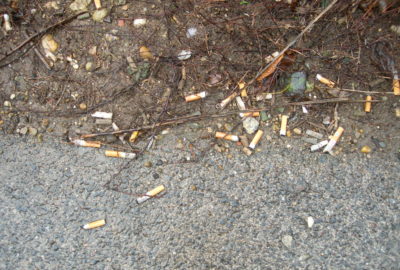 Zigarettenkippen | Cigarette butts