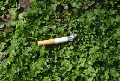 Zigarettenkippe im Grünen | Cigarette butt in the green