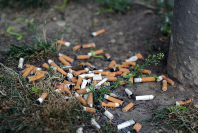 Zigarettenkippen auf der Erde | Cigarette butts on soil